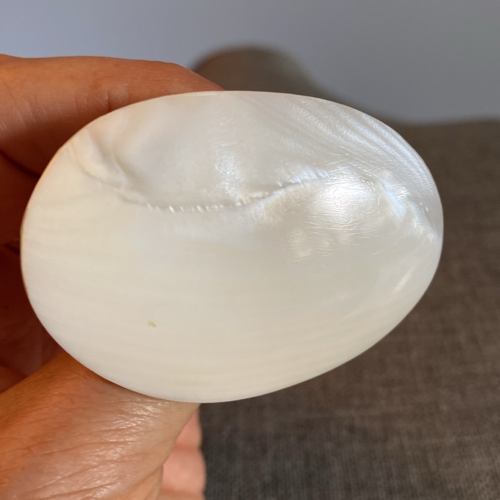 Vtg Large Mother of Pearl Brooch
